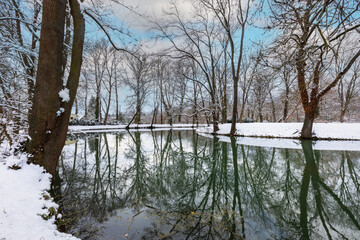 A snowy winter landscape with a small pond and tall trees growing on the shore. Reflections of trees and sky on the surface of the pond.