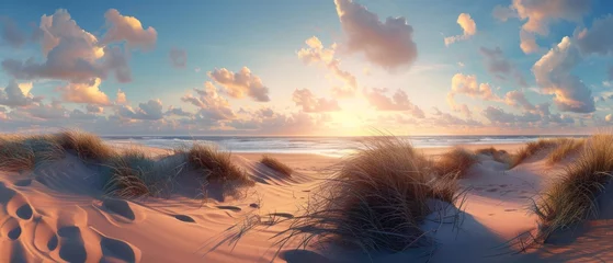 Poster Panorama landscape of sand dunes system on beach at sunrise © Artem