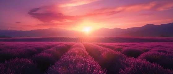 Fotobehang Stunning landscape with lavender field at sunset © Artem