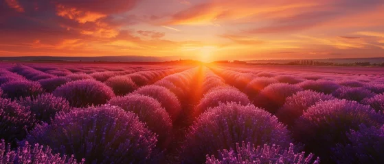 Kussenhoes Stunning landscape with lavender field at sunset © Artem