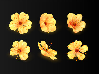 Realistic golden sakura. Jewel flowers blossom japanese sakuras floral tree, gold spring flower metal petals for jewelry brooch, set jewellery decoration exact vector illustration