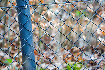 close up macro of a fence with autumn leaves bokeh background