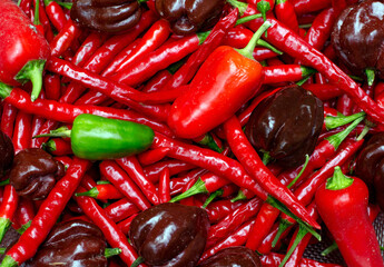 Spicy peppers for cooking makes a colorful backdrop with this variety of cayenne, chili and jalapeno variety