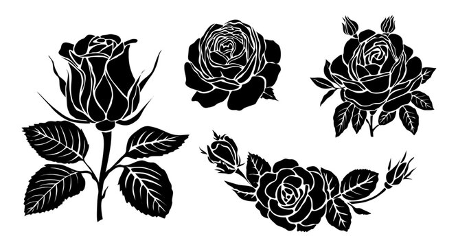 Set of black silhouettes of decorative fresh blossoming rose with steam and leaves. Hand drawn outline flower icon. Vector monochrome illustrations isolated on white background.
