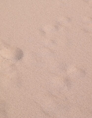 Shoe print on the sand