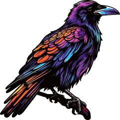 raven vector illustration isolated on transparent background. 

