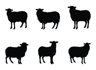 Naklejka premium sheep vector illustration isolated on white background. 