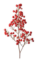 branch with red balls birds food and christmas decorations