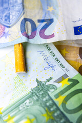 The Economic Burn of Tobacco: Cigarette Amidst Euro Bills