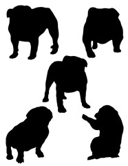 Naklejka premium Bulldog Silhouettes