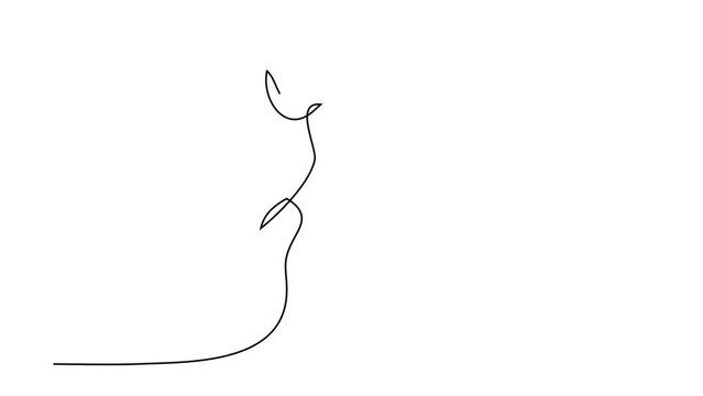 Lips in kiss. Abstract beautiful portrait of kissing couple in love, continuous line drawing animation