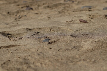 Fototapeta na wymiar Detail photo of sand
