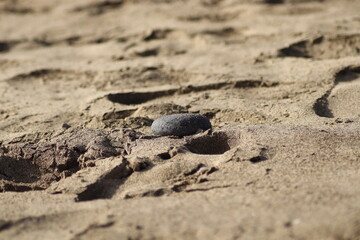 Smooth round rock submerged in sand