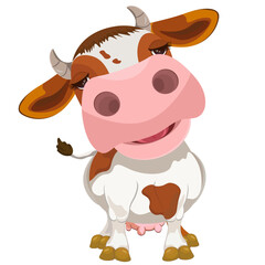 White cow with brown spots for milk