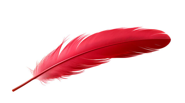 red feather isolated on white background png