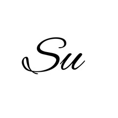 A hand-drawn signature logo design template	