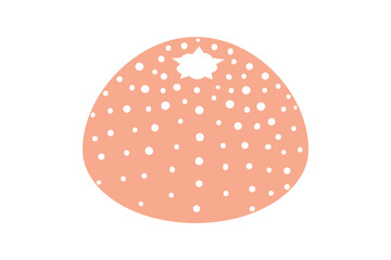 Sea Shells, Sea Life, Coral With Seashell, Ocean Seahorse, Starfish, Under the Sea Plants, Sand Dollar, Corals, Seaweed, Under The Sea, Seashell, Ocean, Marine, Seaweed, Coral bundle, seaweed, coral, 