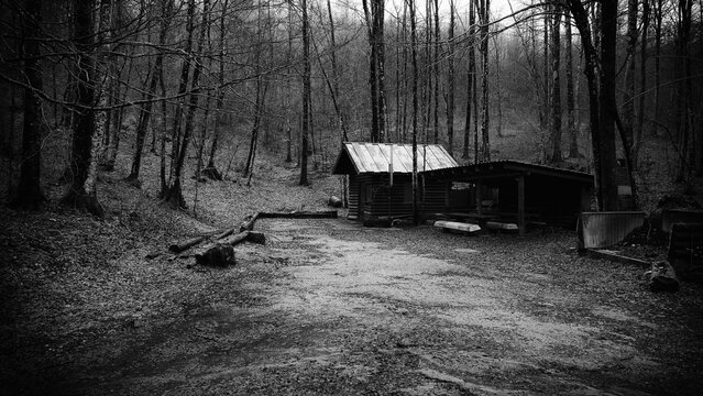 Spooky wooden house in the deep dark forest