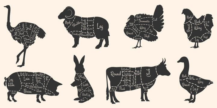 Silhouette diagrams of cuts of beef, pork, lamb, rabbit, chicken, duck, ostrich and turkey. Dark silhouettes on a white background. Vector EPS 10