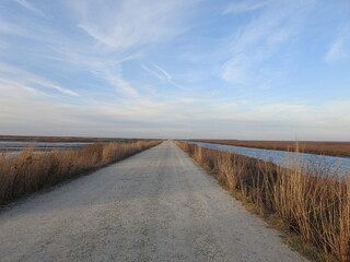 Endless beauty awaits those who venture out onto the wildlife drive at the Edwin B. Forsythe National Wildlife Refuge, Galloway, New Jersey.