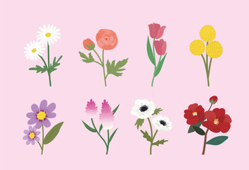 Types of flowers vector
