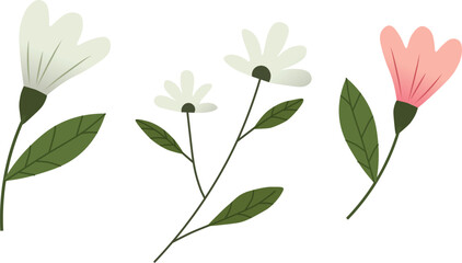 Spring flowers vector illustration set