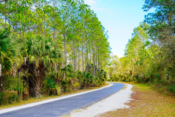 Flatwood park in Tampa, Florida