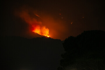 Trees devoured by flames. Forest fire in corfu island. Fine art forest burn Problem with climate change 