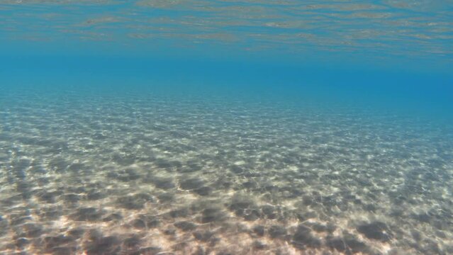 Underwater blue sea and white sand background. Tropical ocean