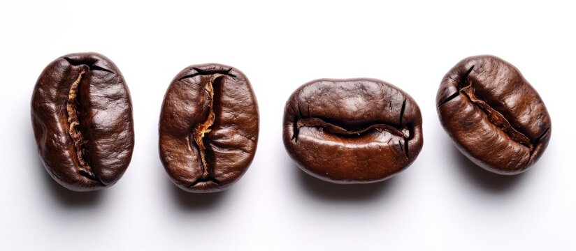 Triple Roasted Coffee Beans on White Background - A Rich Blend of Roasted Coffee Beans on a Crisp White Background