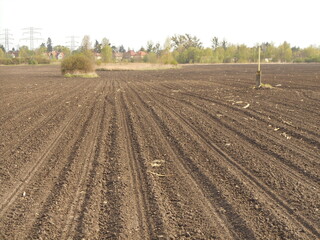 Field