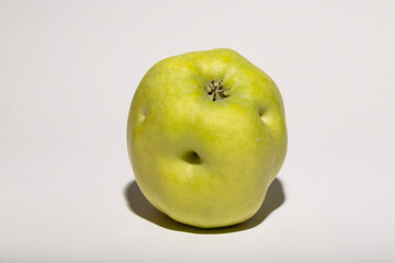 Ugly mutant apple. The fruit is yellow on a white background.