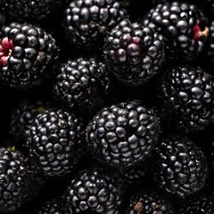 A close-up view of a group of ripe, vivid Blackberry with a deep, textured detail.