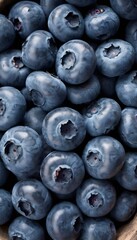 A close-up view of a group of ripe, vivid Blueberry with a deep, textured detail.