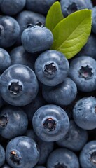 A close-up view of a group of ripe, vivid Blueberry with a deep, textured detail.