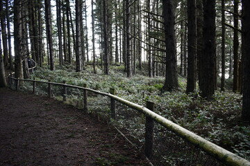 Beautiful forest trail with quality wooden fencing.