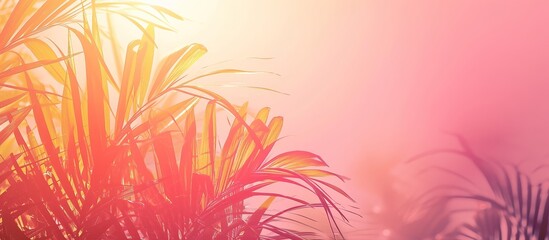 Sunset background with a light orange pastel effect, gradient overlay, and a dramatic, abstract tropical theme in summer or autumn.