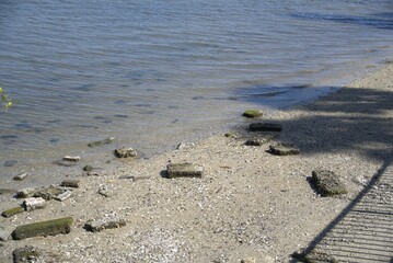 Rocks at low tide