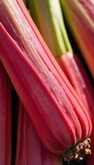 A close-up view of a group of ripe, vivid Rhubarb with a deep, textured detail. 