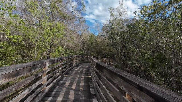 Flatwood park in Tampa, Florida