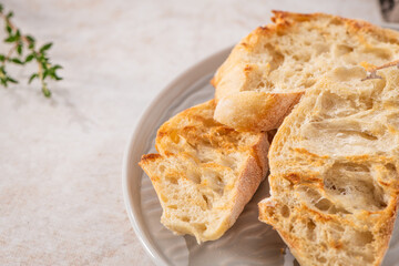 Grilled bread toasts on the plate with copy space