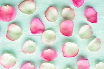 White and pink rose petals on wooden background. Valentines Day abstract background