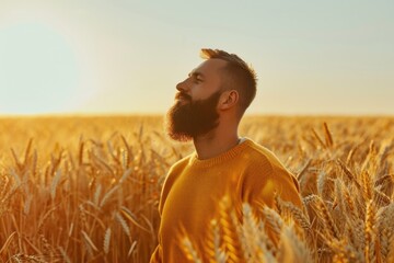 Bearded man in yellow sweater walking in wheat field