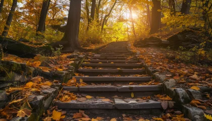  Autumn Stairway in the Forest with Sunlight © Castle Studio