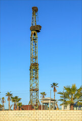 Obraz premium Green painted metal tower with storks nests