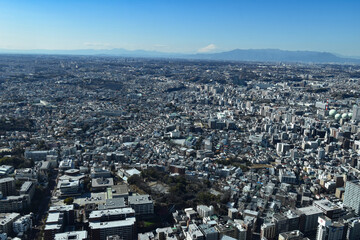 横浜ランドマークタワーから眺める富士山