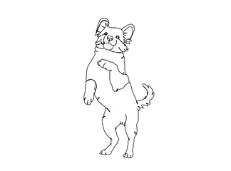 Dog Single Line Drawing Ai, EPS, SVG, PNG, JPG zip file