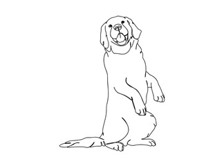 Dog Single Line Drawing Ai, EPS, SVG, PNG, JPG zip file