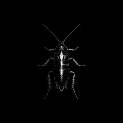 Oriental Cockroach hand drawing vector isolated on black background.