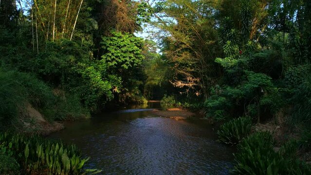 Sinharaja rainforest in Sri Lanka. Top view, aerial video filming.